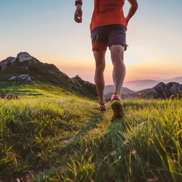 The London Orthopaedic Care Guide
